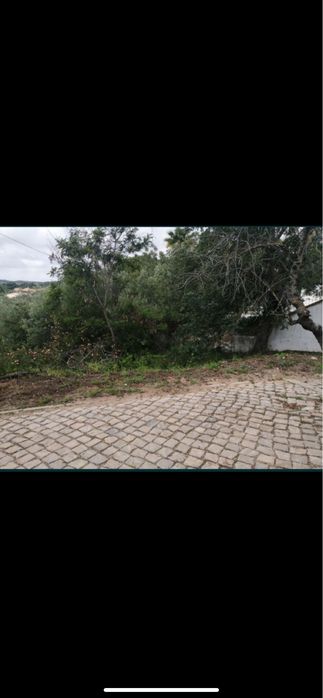 Terreno rústico em Moncarapacho