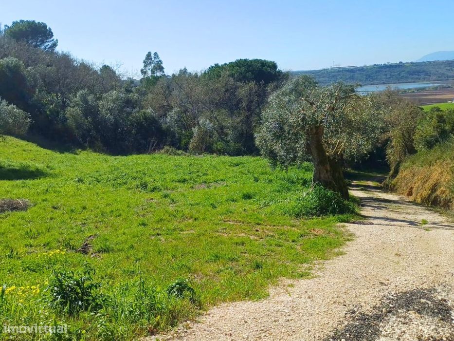 Terreno rústico para venda na Moçarria
