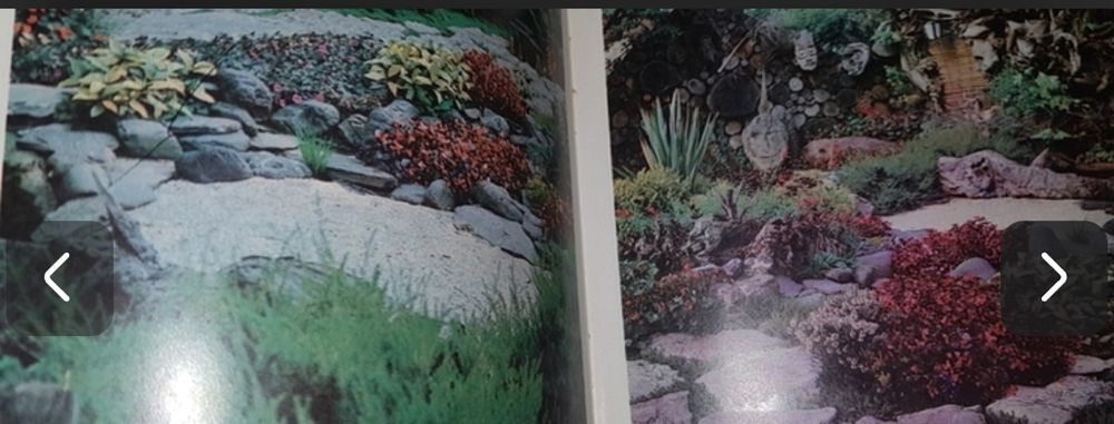 Редкая книга ссср