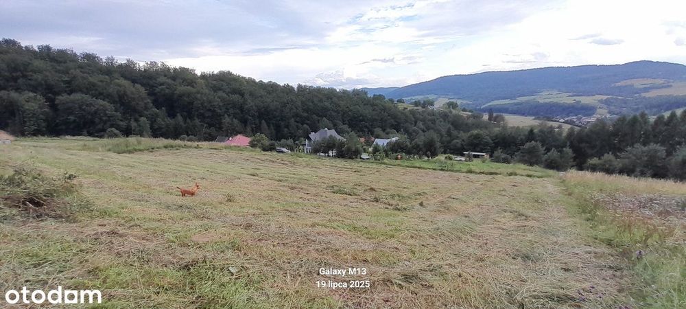 Działka budowlana wydane WZ - Widok 6