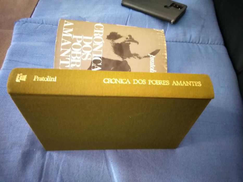 Crónica dos pobres amantes