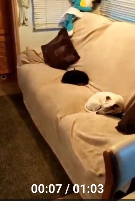 Venda de Caravana América, matricula portuguesa