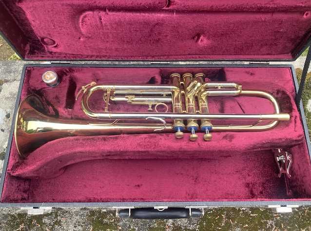 Trompete com estojo rígido de transporte