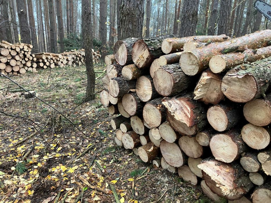 Sprzedam drewno sosnowe.