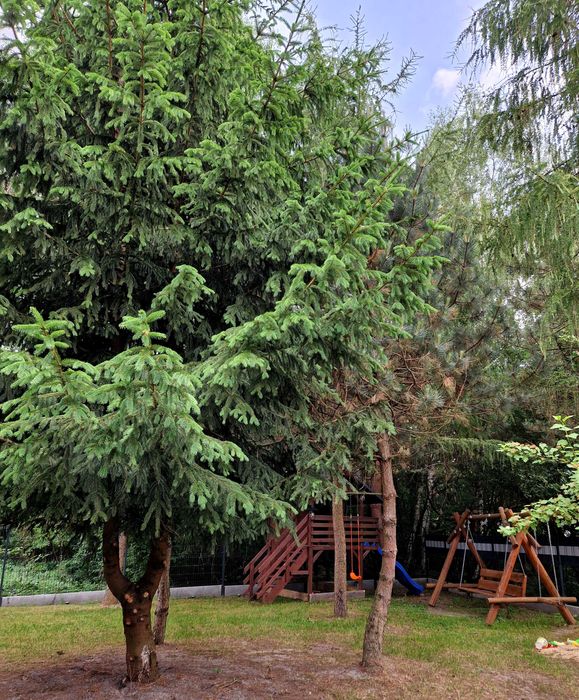 Domek na wyłączność