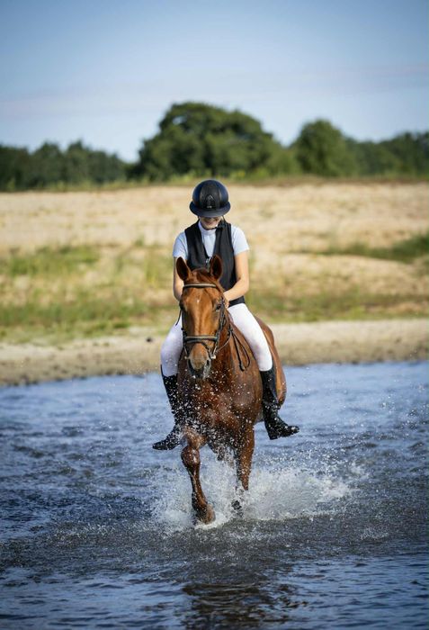 Urodziwa klacz profesor