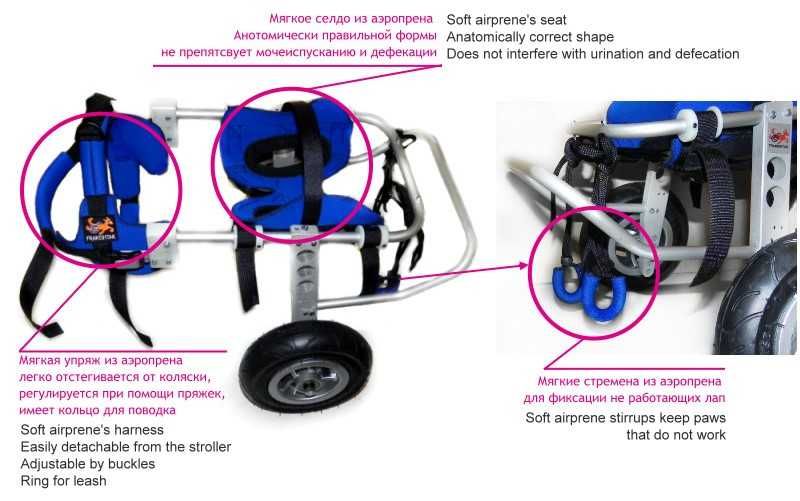 Инвалидная коляска для собак