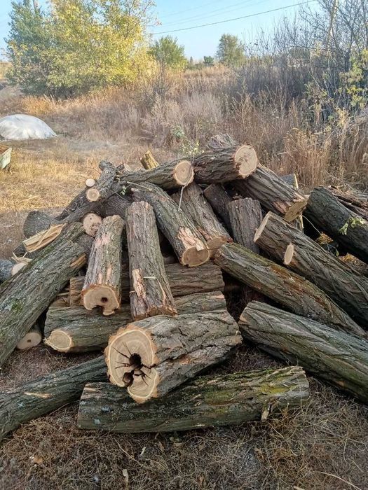 Продам дрова: метровые, колотые, чурки
