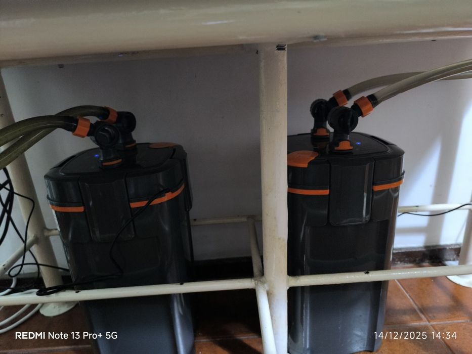 Aquário com tudo incluído mudança de casa