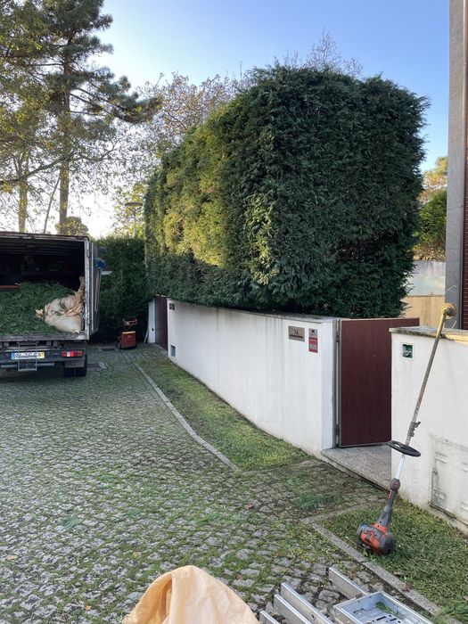 Jardinagem/ limpeza de terrenos/ Abates / limpezas de condominios