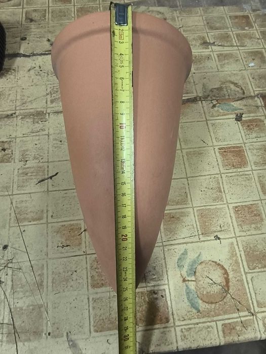 Cones de desova para Discus e Escalares