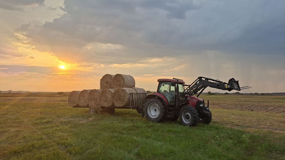 Świeże siano dla twoich Koni Krów Kóz Owiec