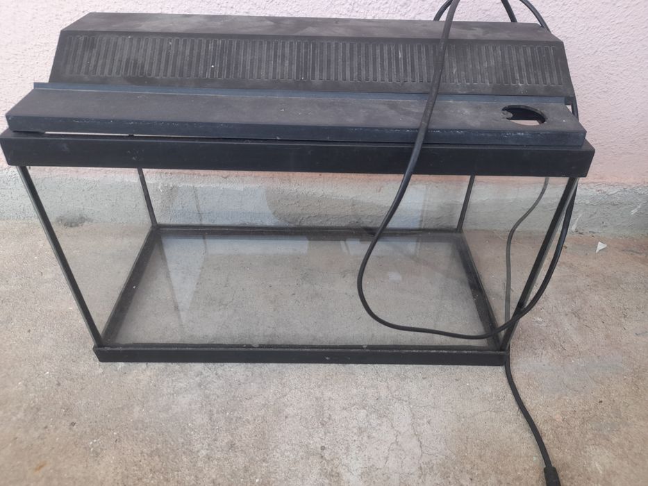 Aquário pra peixes