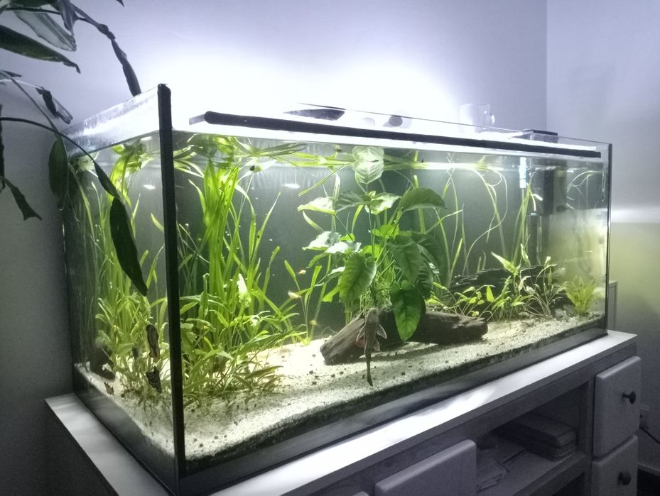 Aquário 300 litros