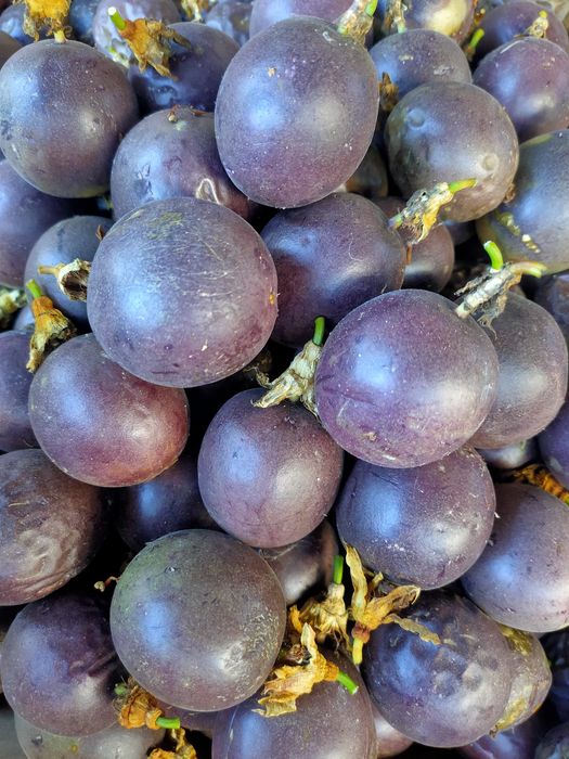 Maracujá roxo muito saboroso