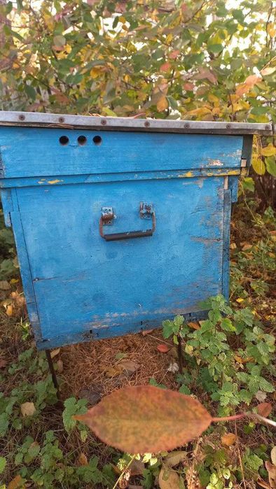 Продам вулики для бджіл