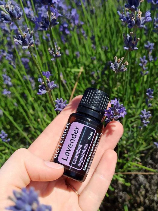 Ефірна олія Дикий апельсин doTERRA 15 мл — заряд енергії та радості