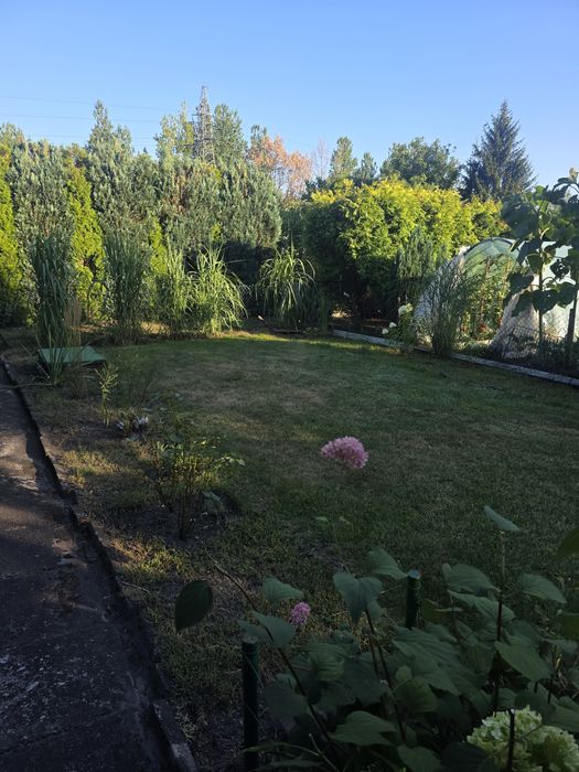 Działka Rod 9 Maja Sosnowiec