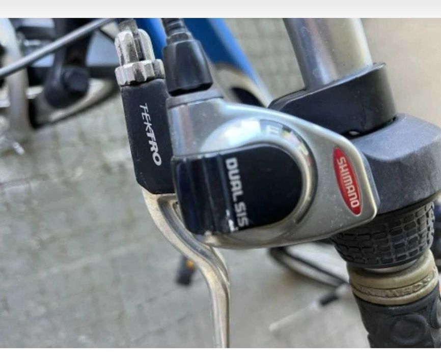 Rower damski Schwimm