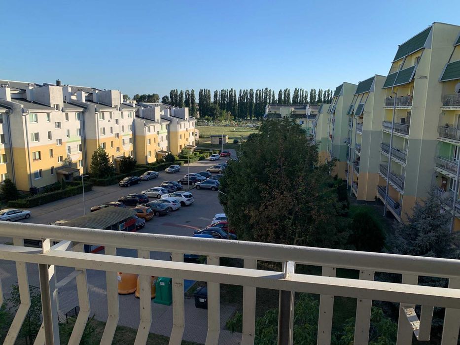 Zdjęcie 8