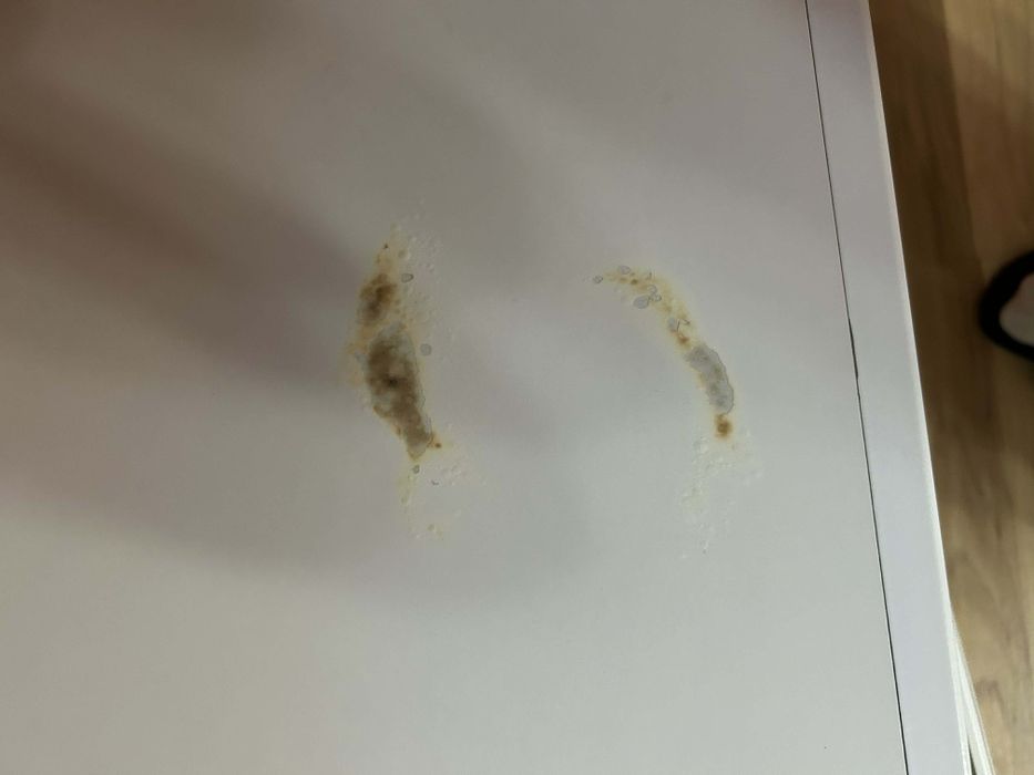 Szafka Rtv irma podświetlana