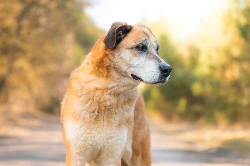 energiczna i mądra MELINDA