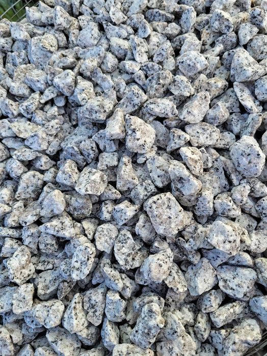 Grys Granitowy Granit Dalmatyńczyk 8-16, 16-22 Kamienie ogrodowe dekoracyjne akwarystyka