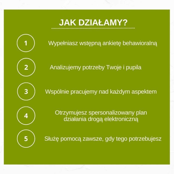 Behawiorysta/ Trener psów / Zoopsycholog - PROMOCJA