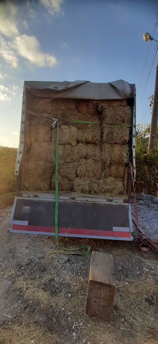 5 метров Грузоперевозки эвакуация домашние переезд мебели Европа