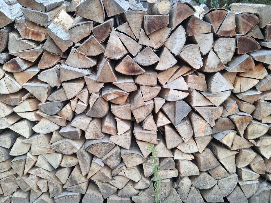 Drewno,opałowe,kominkowe brzozowe