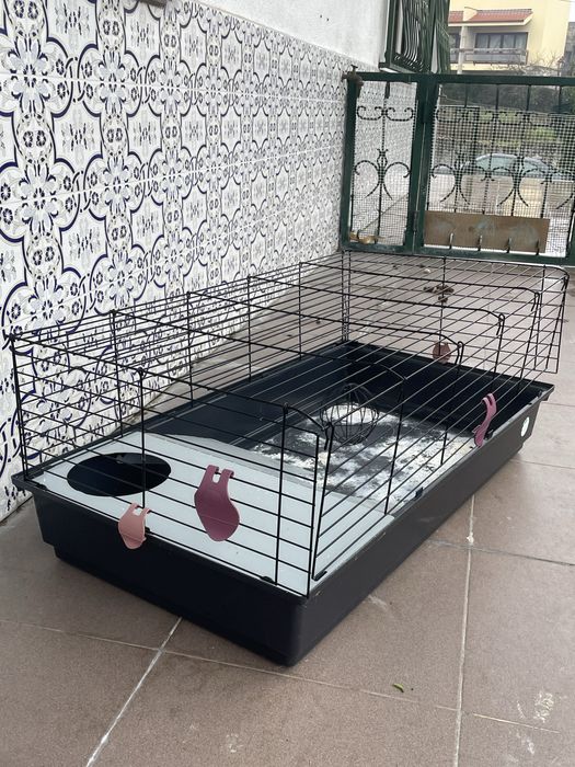 Gaiola para roedores/porquinho da india