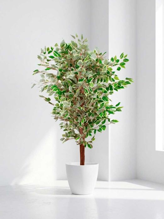 Ficus Artificial 1.20M