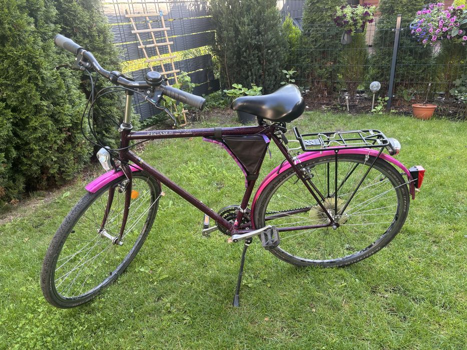 Rower Pegasus uniwersalny 28 C