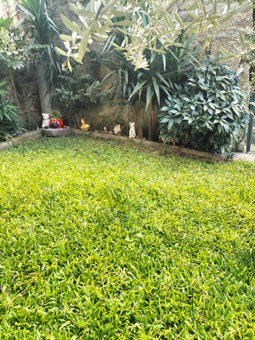 jardineiro renovações limpeza e manutenção jardim