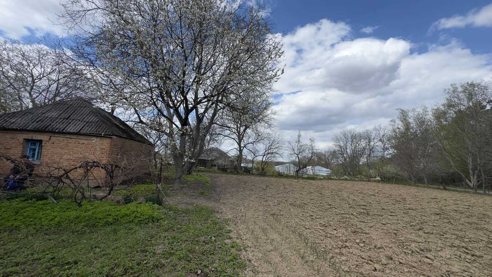 (5) Продам будинок в с.Ковалівка 1122