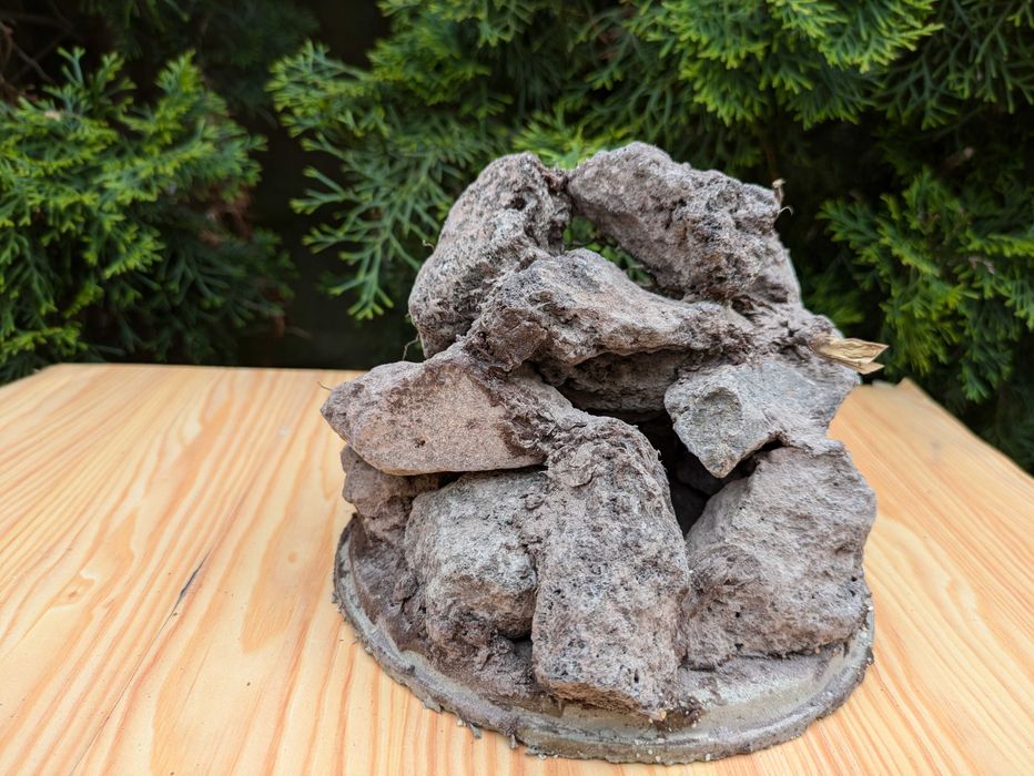 Grota z lawy wulkanicznej z korzeniem