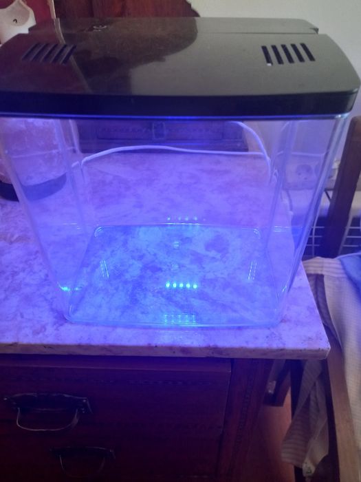 Aquario com tampa e 5 modos de luz