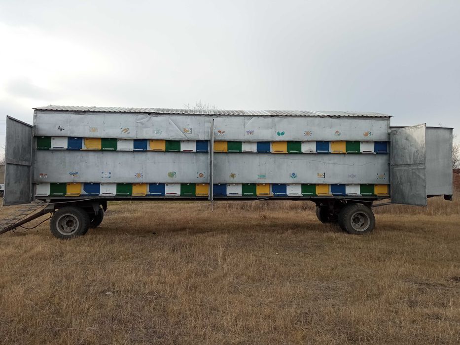 Бджолярський  павільон