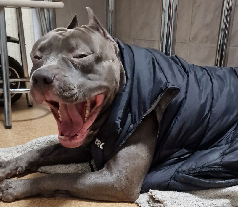 Стафф для в'язки.