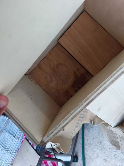 Ninhos novos de piriquitos ingleses