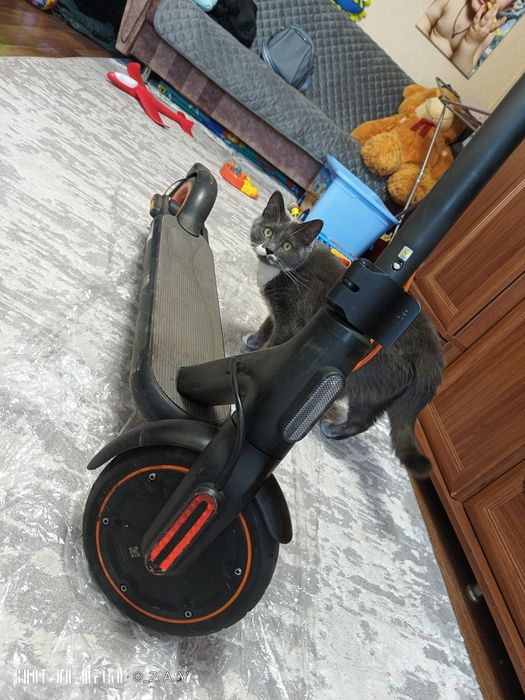 Электросамокат Xiaomi Electric Scooter 4 Go