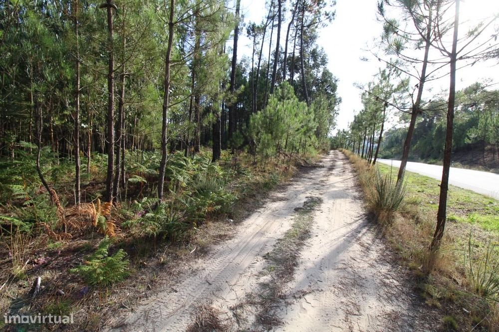 Terreno para Cultivo