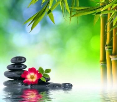 Професійний масаж різних видів