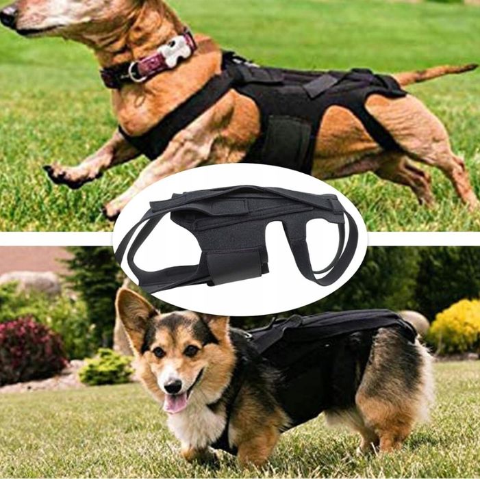 Pas Ortopedyczny Dla Psów Wsparcie Kręgosłupa Ehabilitacja Rozmiar: M