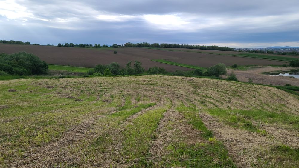 Продам земельну ділянку під лісом, біля озера