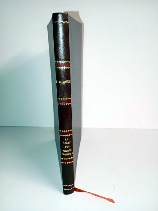 Fruit Tree Size (In French)64730013122691120