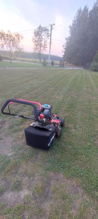 Wertykulator aerator do trawnika wynajem