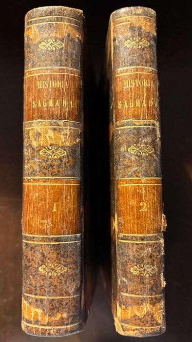 Livro antigo (2 tomos) "Historia Sagrada do Velho e Novo Testamento" de N. de Royaumont (Prior de Sombreval) 1830
