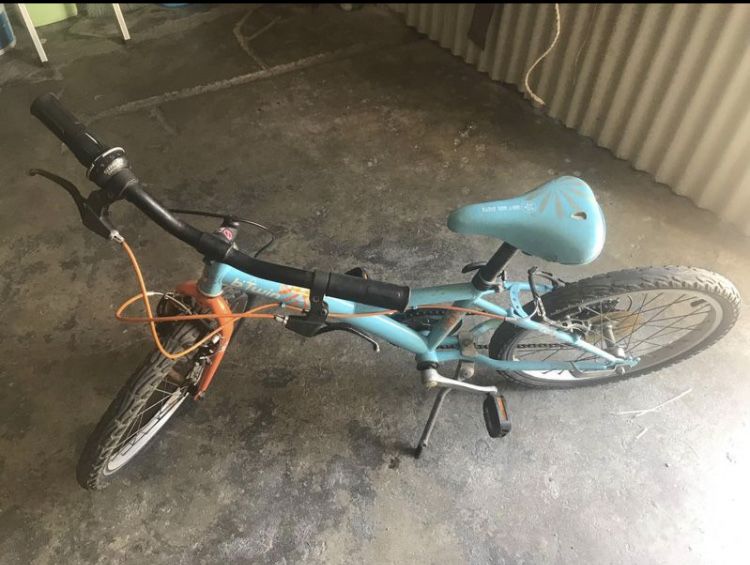 Bicicleta roda20