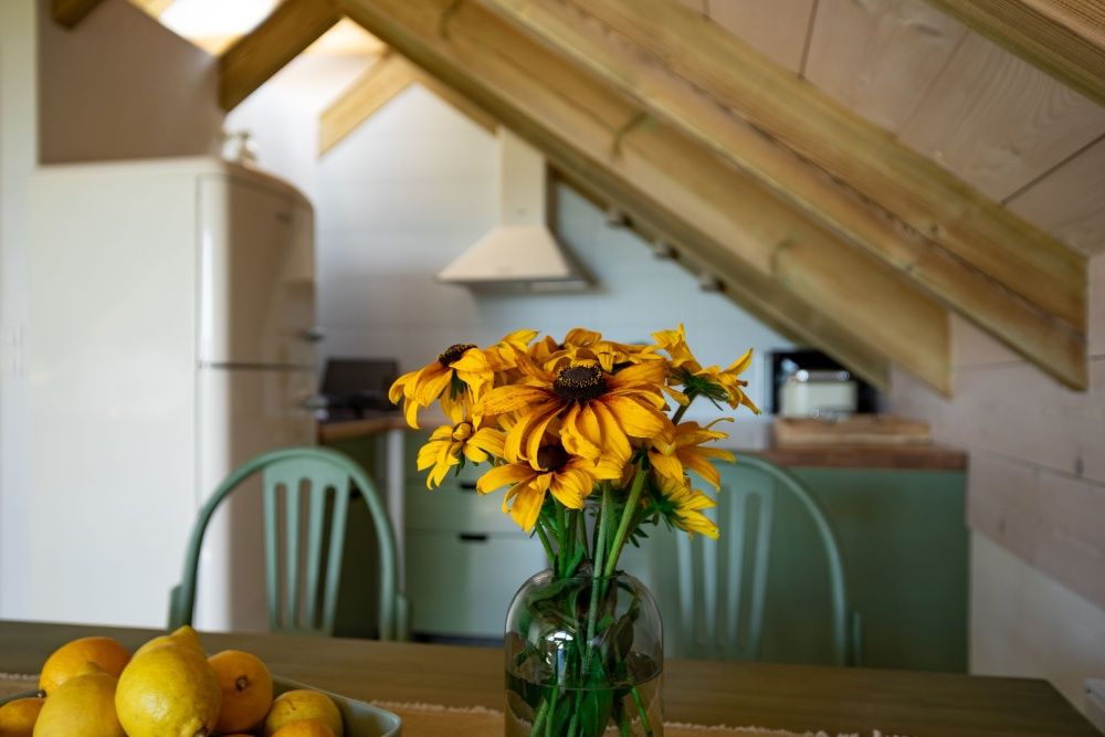 Domek nad jeziorem, SPA na wyłączność, konie, Kaszuby